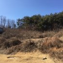 양도면-4 이미지