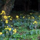 예나르공예박물관 이미지