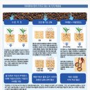 휴머스