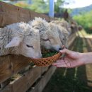 우리들목장 이미지