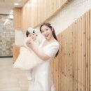 인디고오렌지 이미지