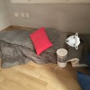 회동송어장 이미지