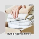 나이스이삿짐 이미지
