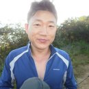 돼지들의이야기 이미지