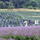 (주)행복한농장 이미지