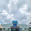 금강역 레일카페 | 반야월 연꽃단지-점새늪전망대 .연터널갤러리 그리고 금강역 레일카페 (실시간연꽃개화)