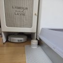 말리 - 익산시 무왕로 1118 | 우리 집 고양이 화장실 냄새 잡는 1등 공신! '아니말리 고양이 탈취제' 솔직 후기