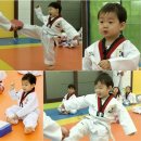 태권도전 태권도장 이미지