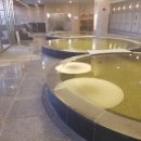 세종스파찜질방 이미지