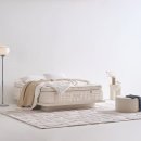 리베르타 이미지