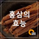 (주)카인즈바이오틱스 이미지