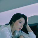 다시봄 더팩트