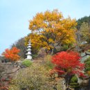 동강마을 이미지