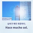 [시원스쿨 스페인어 후기] 왕초보 탈출 환급반 학습일지 49일차