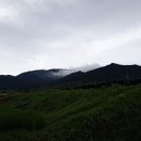 정천농원 이미지