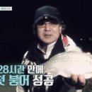 도시어부 박프로 이미지