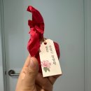 영숙이네 족발집 | 5월, 적응은 참 힘들다