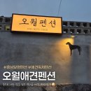 오월펜션 | 충남보령반려견과 조용히 힐링하기 좋은곳 독채 오월애견펜션 숙박후기