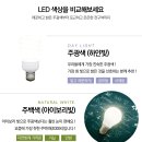 굿모닝1000