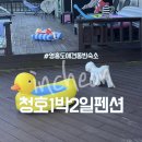 해돋이펜션 | 영흥도애견동반숙소 청호1박2일펜션 해돋이방 후기