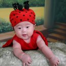 준우 Daum카페