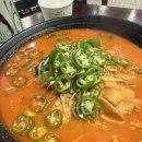 차이홍 이미지