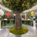 더아름다움뷰티 이미지