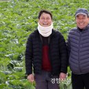 홍규농장 경향신문