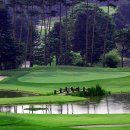 수원-0594 이미지