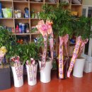 대정모터스 이미지