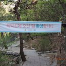 세도농협주유소 Daum카페
