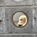 (주)브라더푸드 이미지