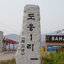 도웅1 이미지