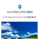 티에스투어 이미지