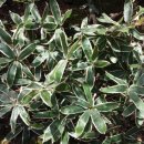 세계축산 이미지