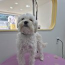 꾸미멍 이미지