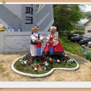용인에서 열리는 봄꽃 축제 이미지