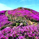 운봉읍 소석마을 | 지리산 바래봉 둘레길 철쭉 꽃불 보러 오세요