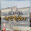 천안원성DT 스타벅스 : 조용한 분위기에서 여유롭게 커피 마시고 공부도 할 수 있는 스벅🙌