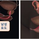 성이유통 이미지