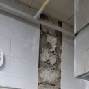 메디하자 이미지