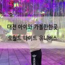 대전 아이와 가볼만한곳 오월드 야간개장 나이트 유니버스