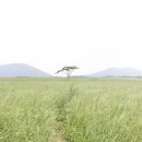 이시돌목장 이미지