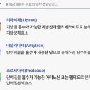 라이펙스 이미지