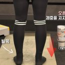 바이젝 월드 피트니스 이미지