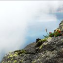 백두산화원 이미지