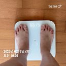 감화 | 고농축행감환 다이어트 1주 차 내돈내산 후기