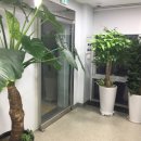 (주)디아즈솔루션 이미지