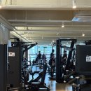 피트니스 마틴 이미지