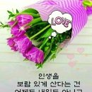 만물 이미지